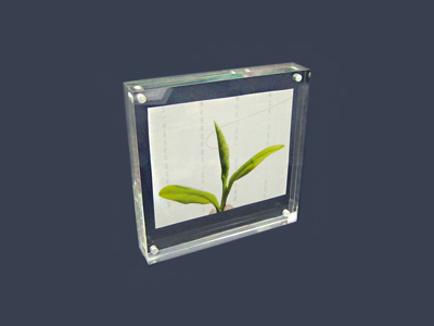 acrylic photo frame supplier, acrylic block frame