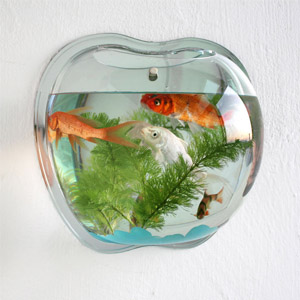 Wholesale acrylic aquarium, supply wall acrylic aquarium