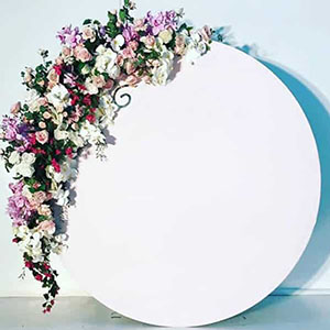Acrylic wedding decoration backdrop, circle perspex event decor backdrop