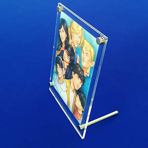 Acrylic picture frame manufacturer, premium plexiglass frames