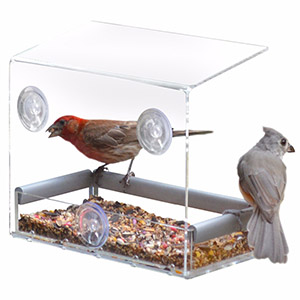 Wholesale acrylic bird feeder, wall acrylic bird bowl factory
