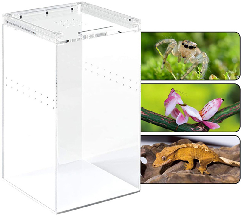 Wholesale acrylic reptile box, plexiglass pet case supplier